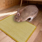 Anti slip back surface of the DYAUS pet bedding accessory