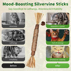 GBSYU Silvervine Sticks Cat Kitten Chew Toys for Indoor Cats Teeth Cleaning - Image 5