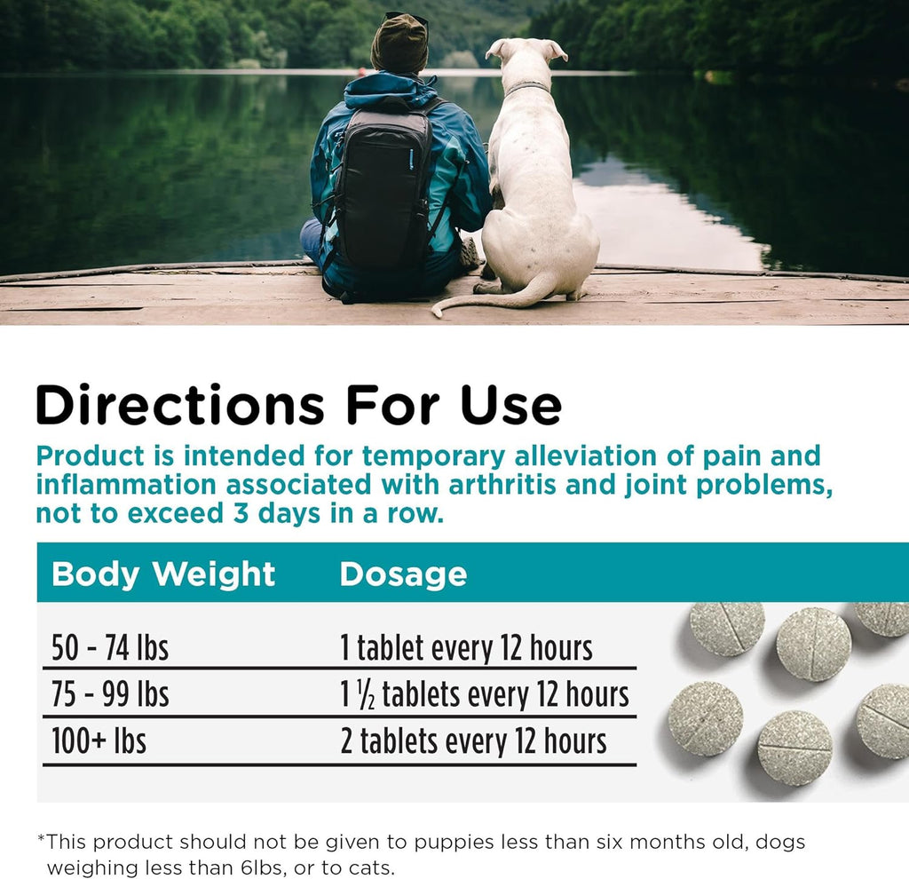 Dog joint support tablets poured out of container