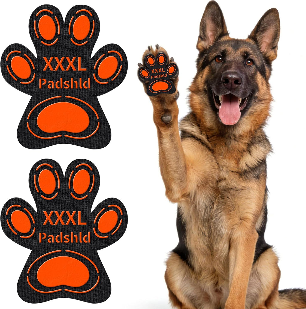 Dog comfortably wearing black anti slip paw stickers