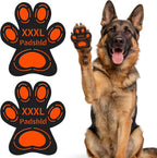 Dog comfortably wearing black anti slip paw stickers