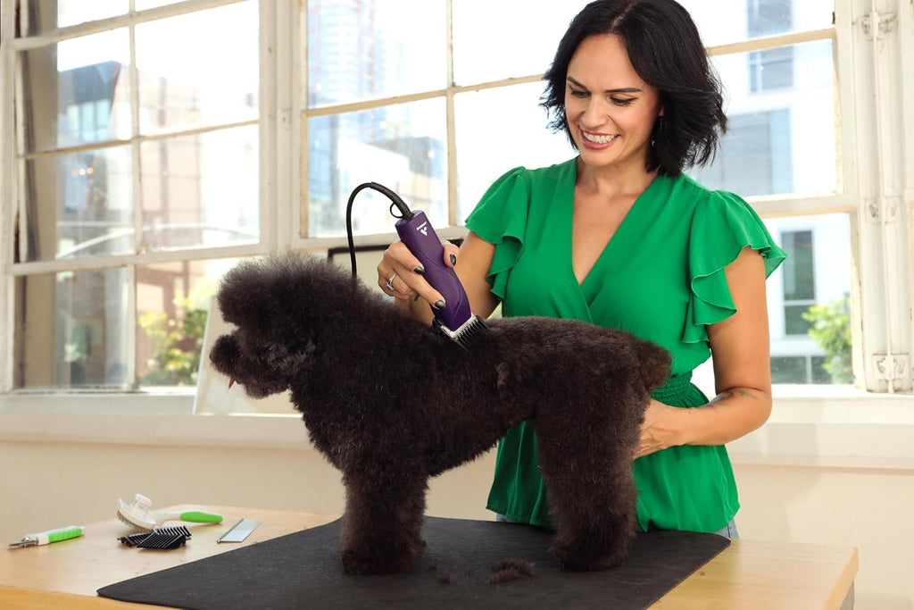 Fully assembled Andis professional pet clipper kit with frustration free packaging.