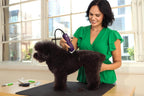Fully assembled Andis professional pet clipper kit with frustration free packaging.