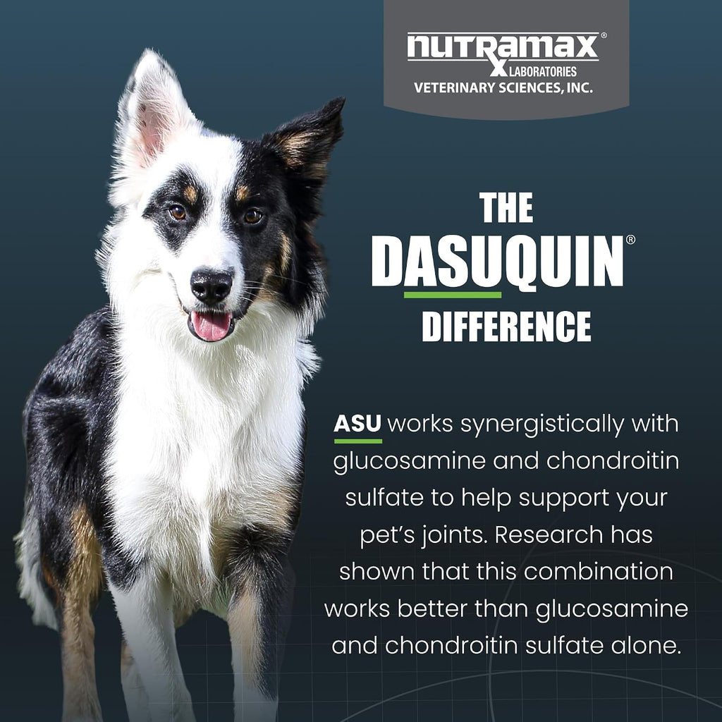 Nutramax Dasuquin with MSM supplement bottle with dosage chart visible