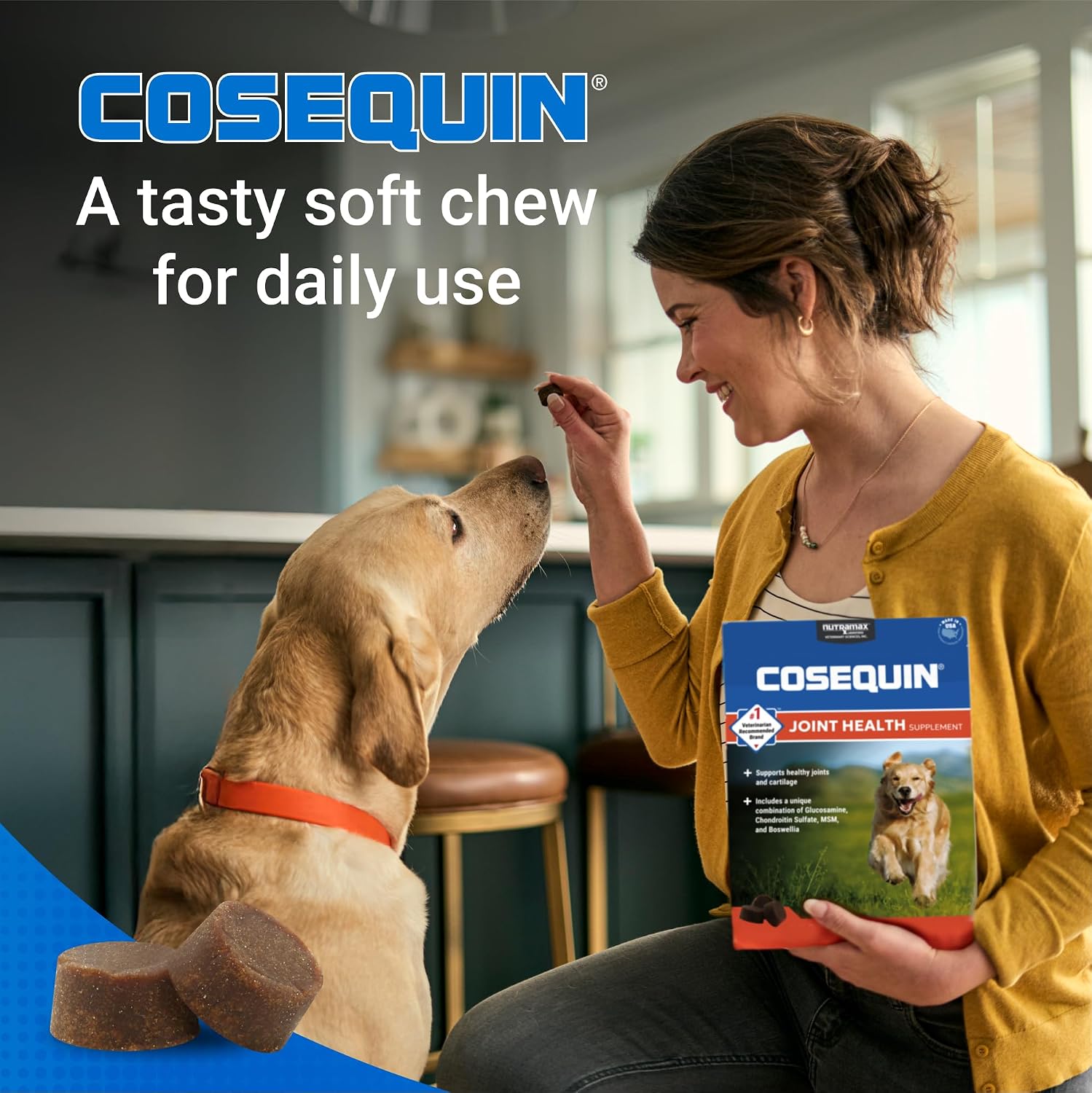 Authentic Nutramax Cosequin joint health supplement for dogs close up view