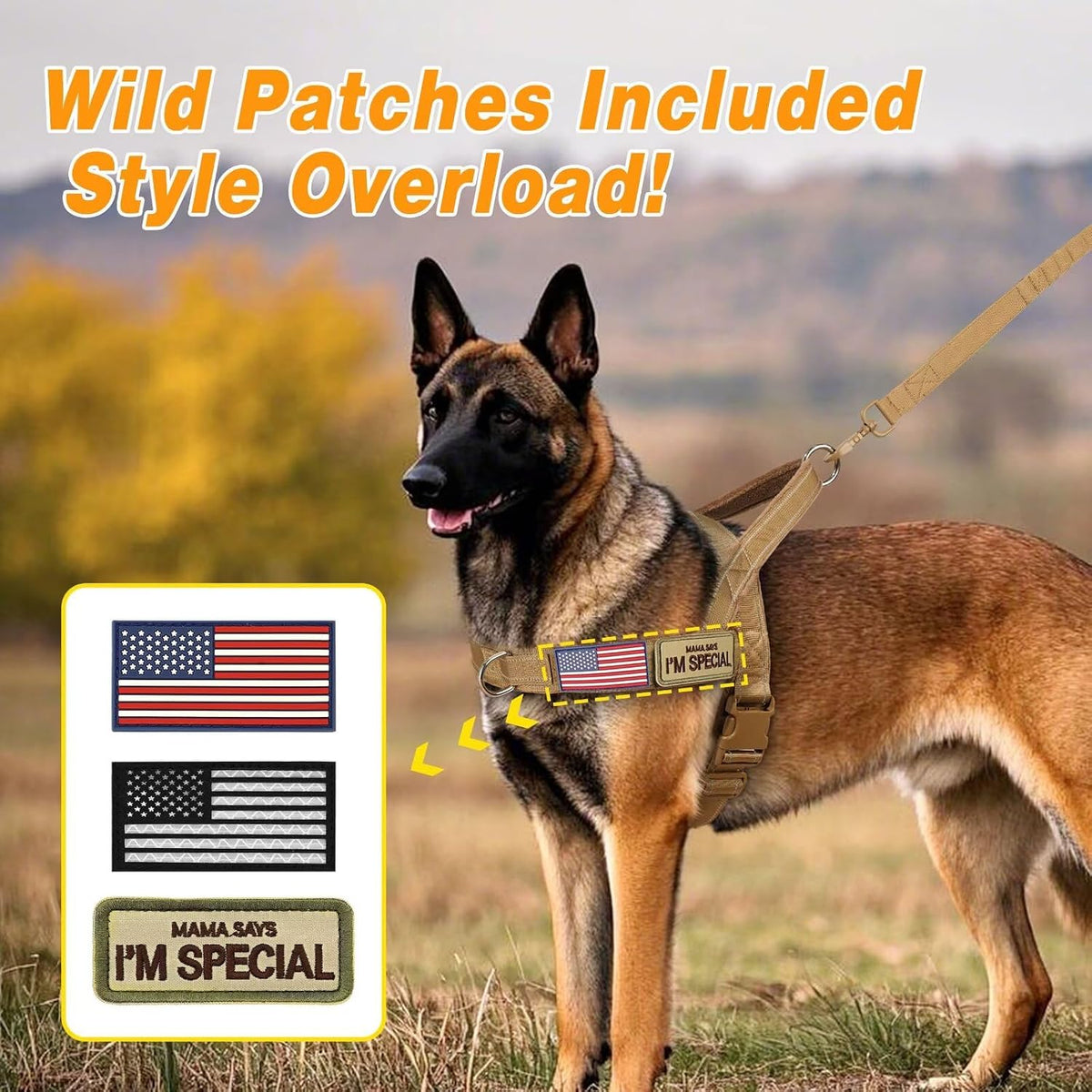 Forestpaw tactical dog harness showing the front metal D ring leash attachment.