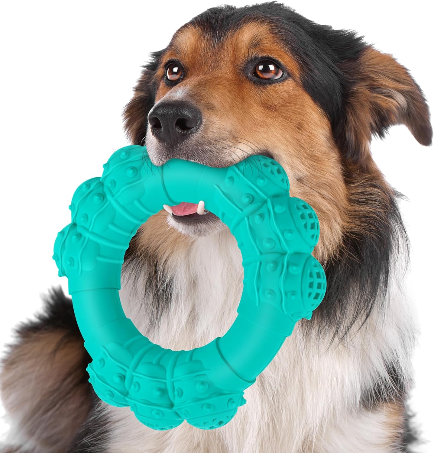 Daoziji indestructible dog chew ring front view