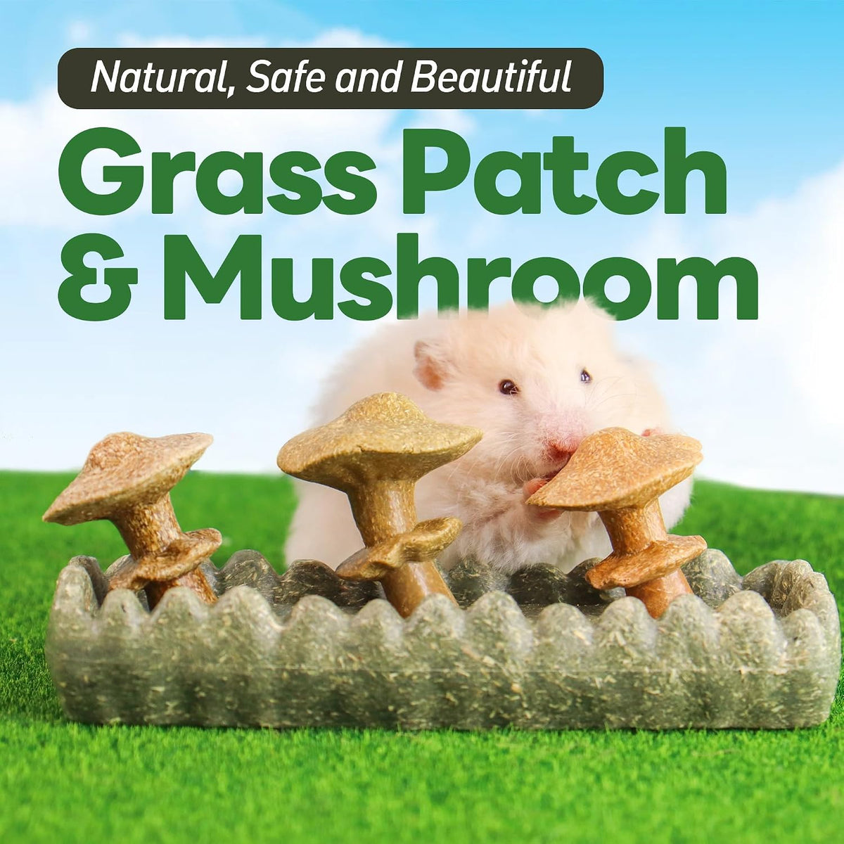 TEEWY natural timothy grass turf patch chew toy for hamster dental health.
