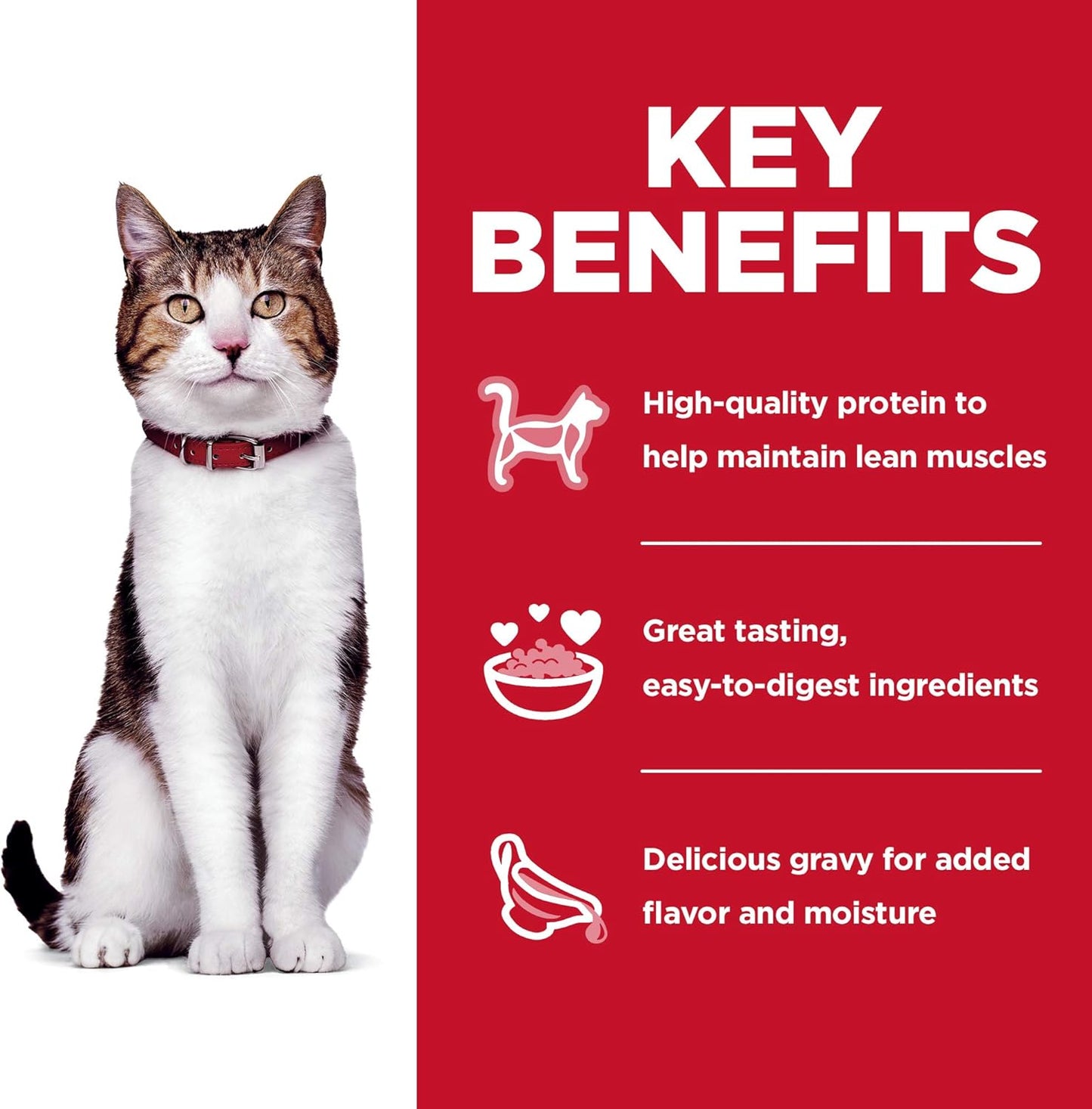 Biology-based senior cat food gravy chunks serving suggestion.