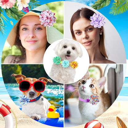 Fluffy cat accessorized with a beautiful pink chiffon floral collar charm looking adorable