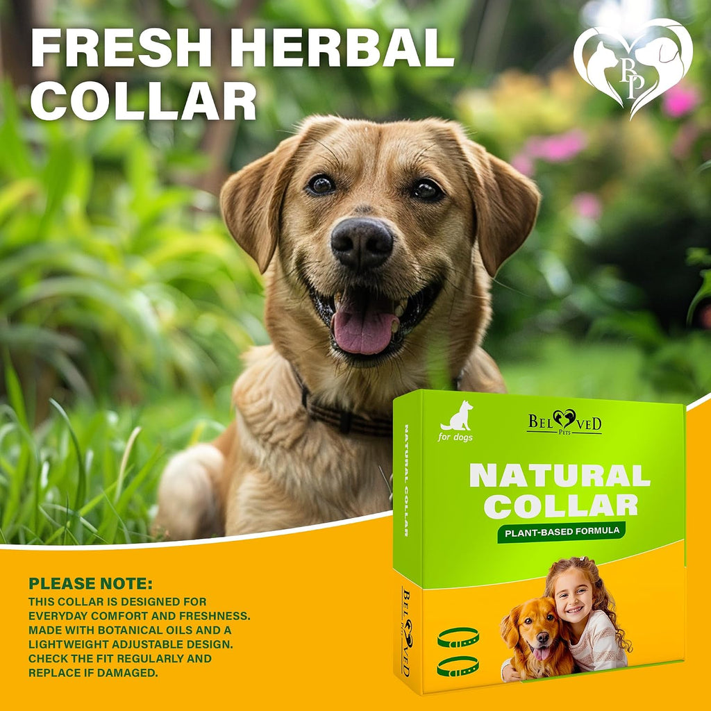 Beloved Pets dog collar displayed for small and large breeds