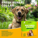 Beloved Pets dog collar displayed for small and large breeds