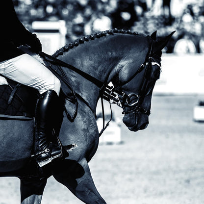 Professional plastic sectioning comb for equestrian show styling.