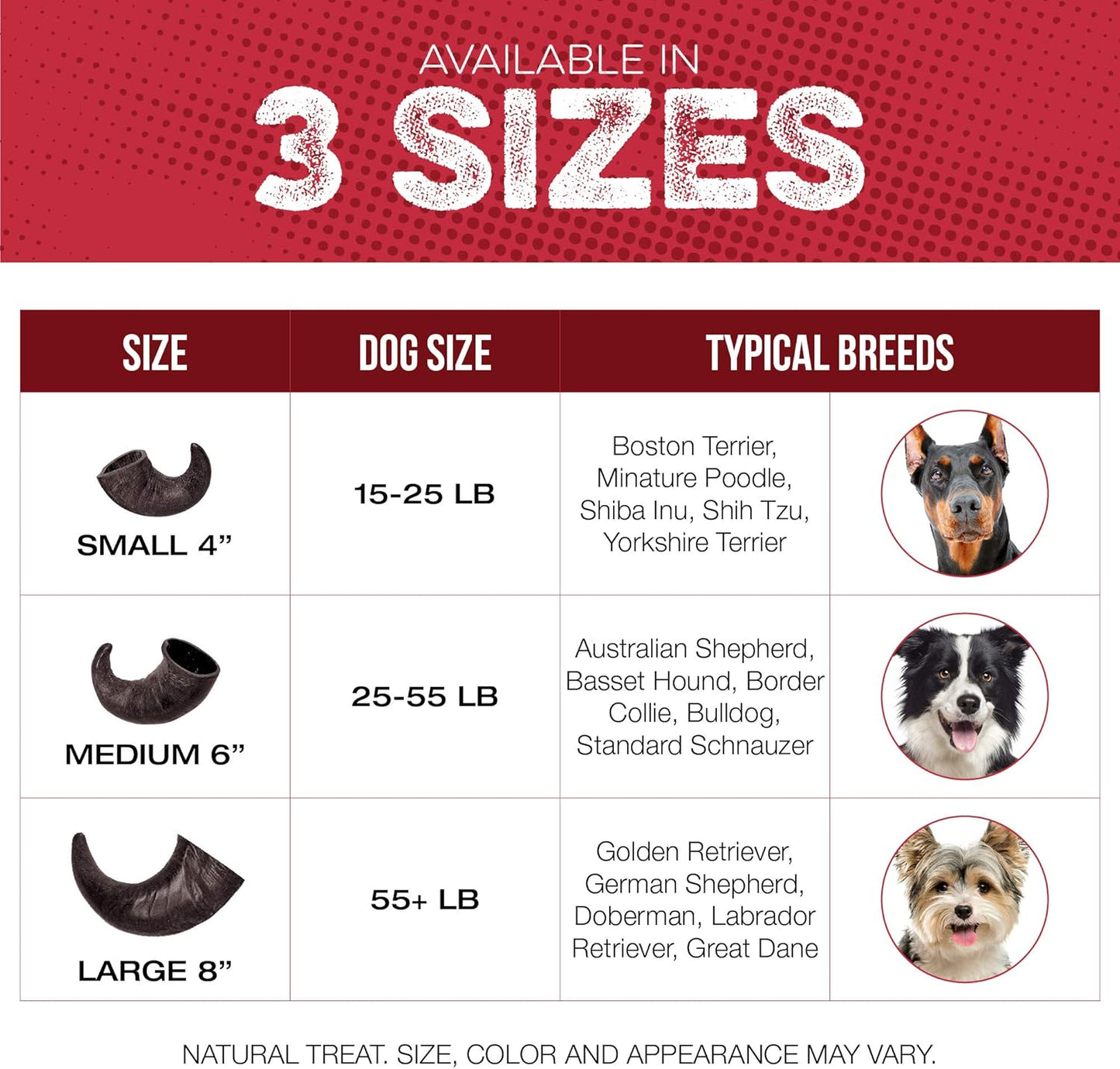 4 Pack Water Buffalo Horns for Dogs, Large 8 Inch - Natural Antler & Rawhide Bone Alternative for Aggressive Chewers, Long Lasting Single-Source Grass-Fed Dog Chew - Image 6