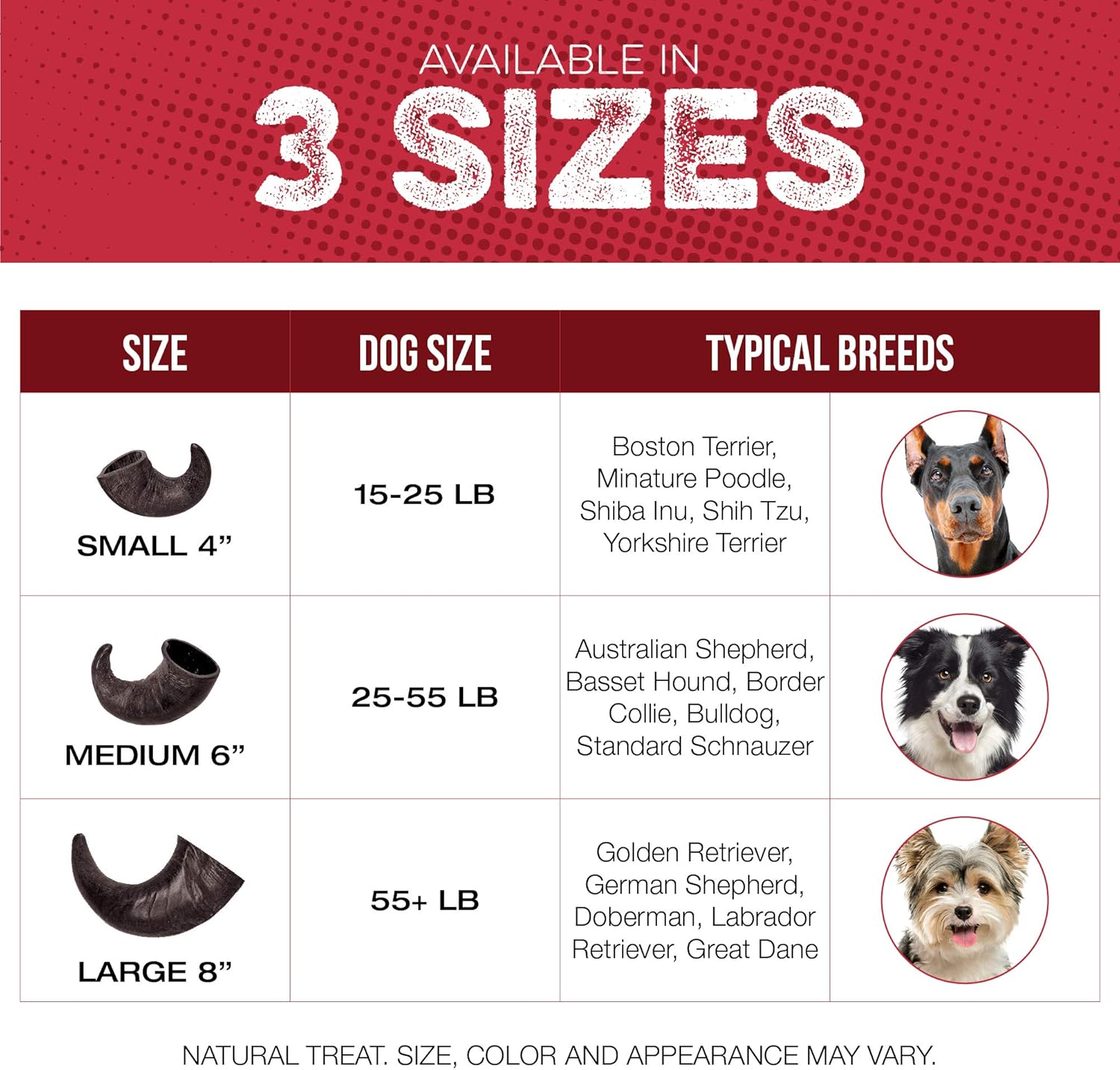 4 Pack Water Buffalo Horns for Dogs, Large 8 Inch - Natural Antler & Rawhide Bone Alternative for Aggressive Chewers, Long Lasting Single-Source Grass-Fed Dog Chew - Image 6