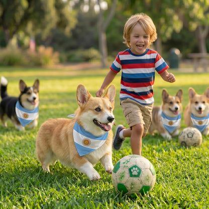 Soft polyester texture of soccer fan outfit for dogs