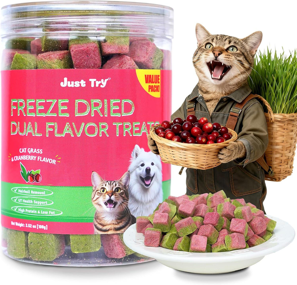 Just Try Freeze Dried Cat Treats 3.52 ounce container front view showcasing the dual flavor green and pink cubes.