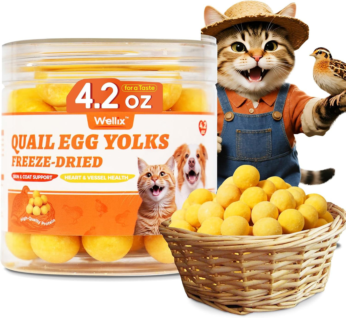 Wellix Freeze-Dried Treats for Dogs and Cats - SunnyBites Freeze Dried Chicken Cat Treats for Indoor Cats - Supports Immunity&Gut Healthy for Training Kitten Snack 3.5oz - Image 13
