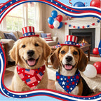 Dog wearing patriotic star design bandana scarf