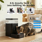 Gardner Pet gravity water feeder showcasing the removable stainless steel bowl and filtration system.
