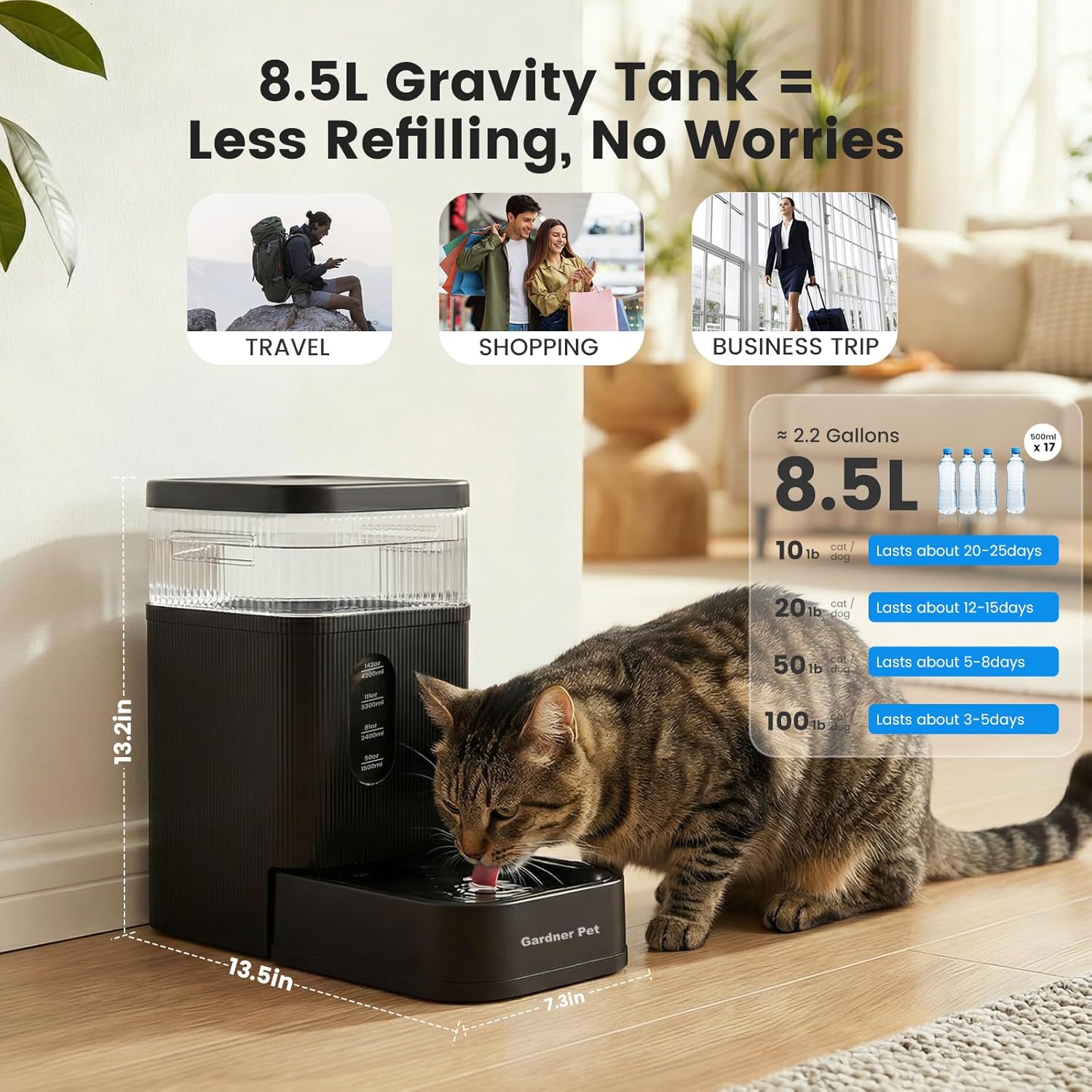 Gardner Pet gravity water feeder showcasing the removable stainless steel bowl and filtration system.