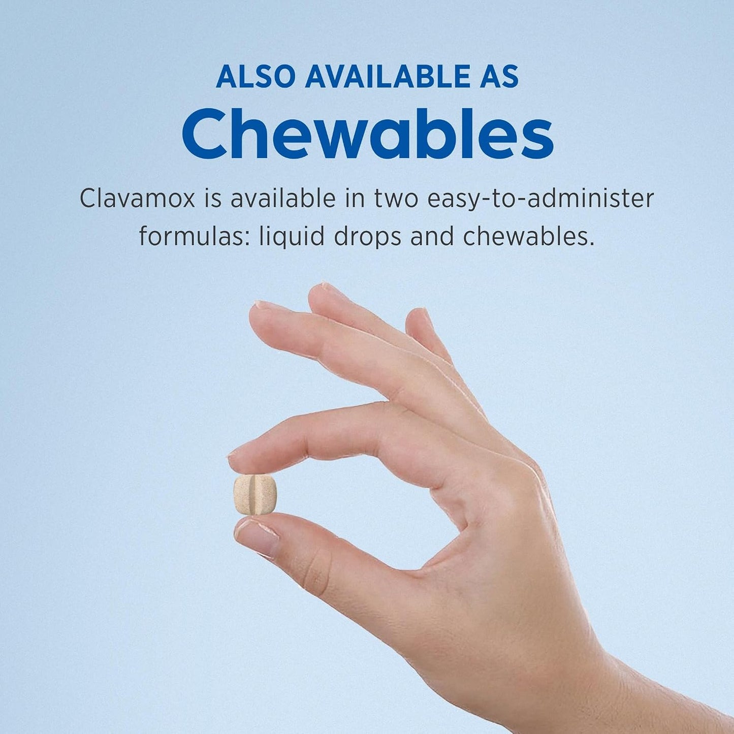 Close up of Zoetis Clavamox 15 mL drops bottle