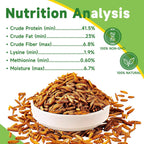 Natural high protein chicken feed supplement pellets