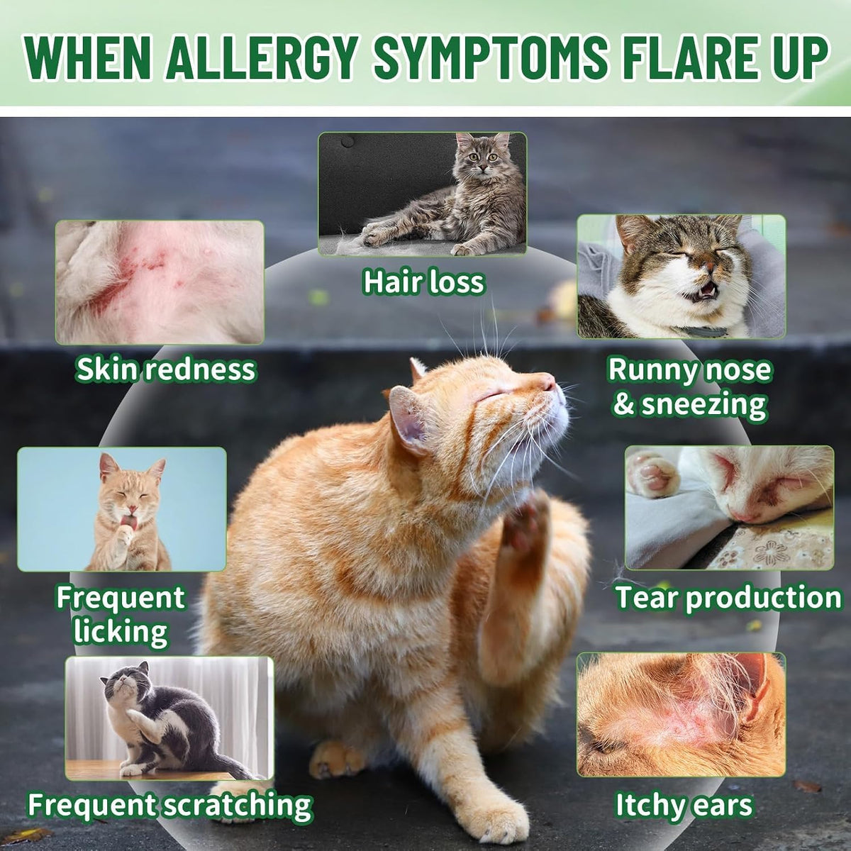 Natural cat supplement for seasonal allergy skin relief showing active ingredient labels