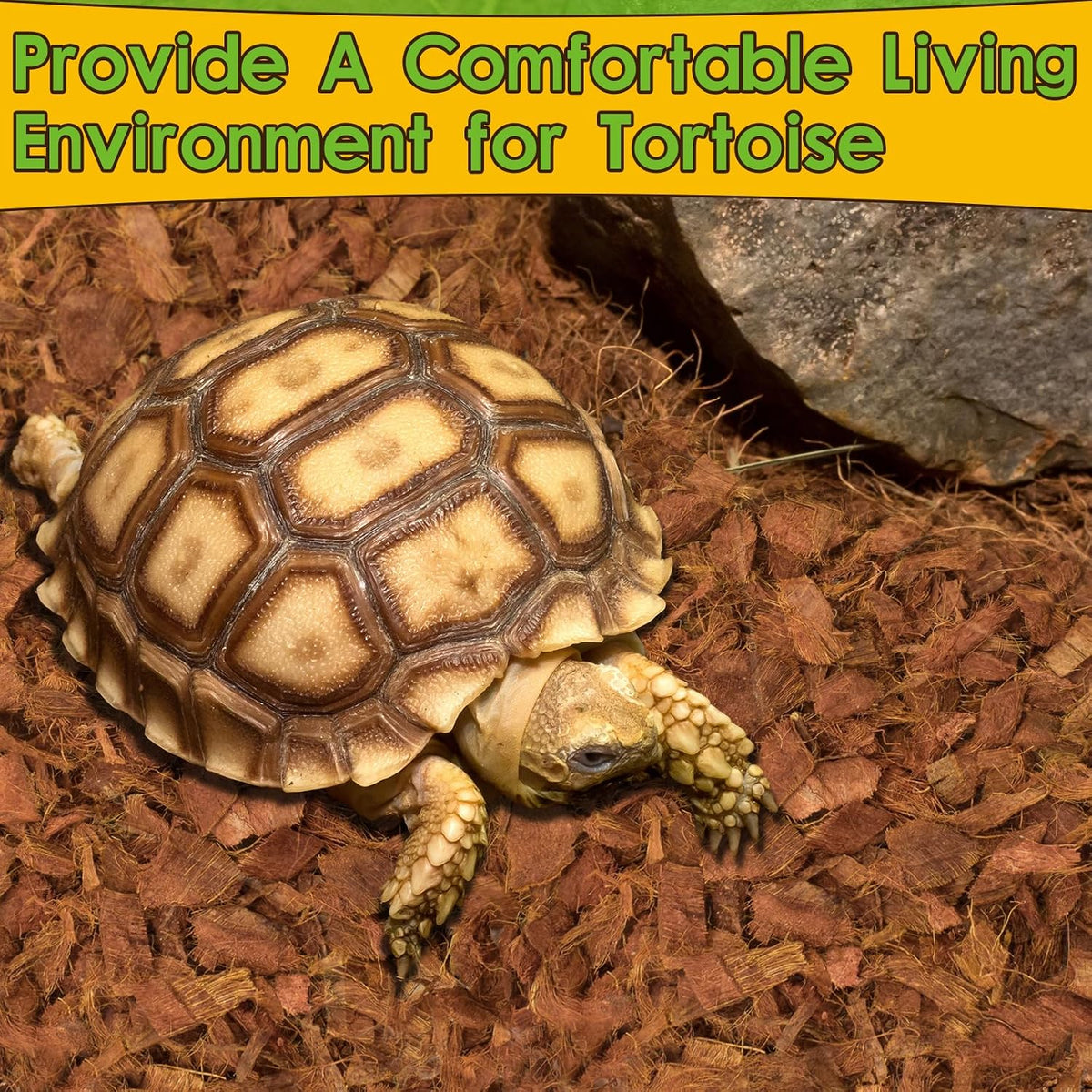 Close-up of natural coconut shell chips for snake and gecko tanks