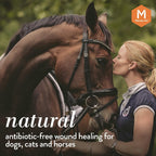 Manuka Vet 500 plus MGO honey gel for dog wound care