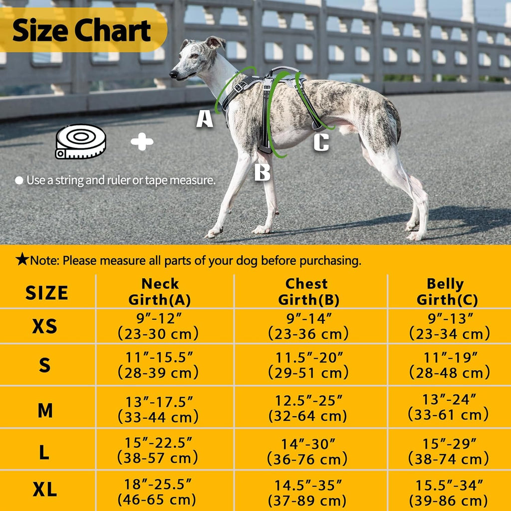 Heavy duty pet walking gear with quick release buckles