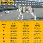Heavy duty pet walking gear with quick release buckles