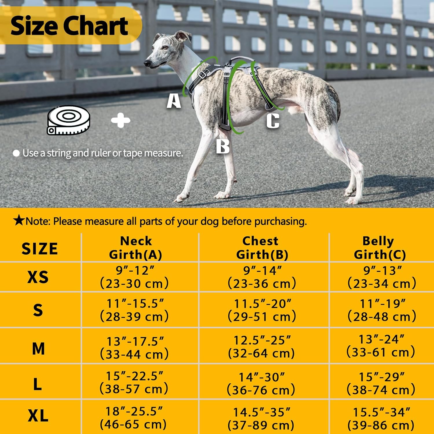 Heavy duty pet walking gear with quick release buckles