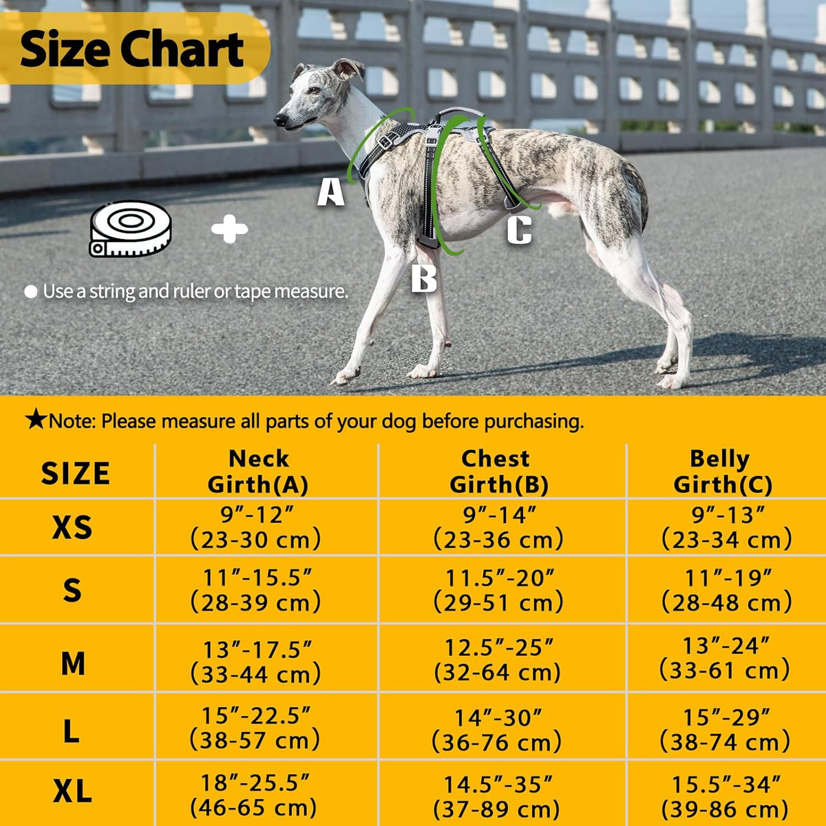 Heavy duty pet walking gear with quick release buckles