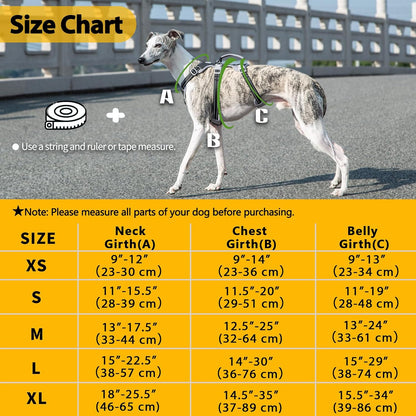 Heavy duty pet walking gear with quick release buckles