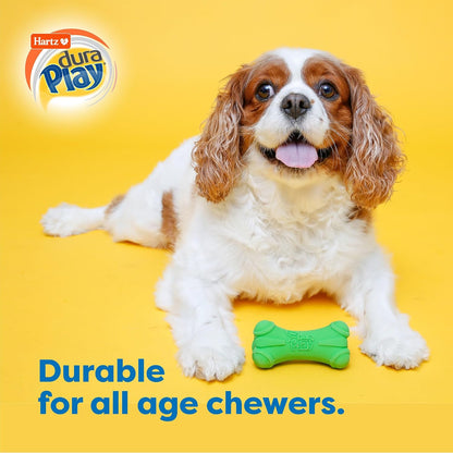 Hartz brand durable latex dog toy packaging for medium sized pets.