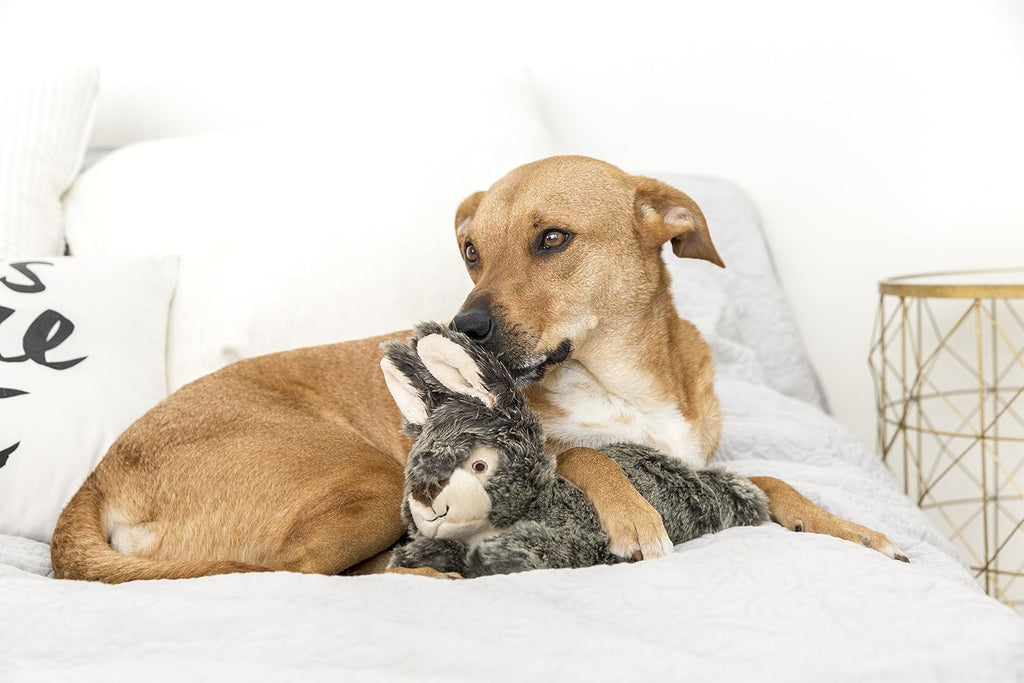 Durable stitched detail on Fluff and Tuff Walter Wabbit dog toy