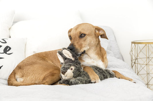 Durable stitched detail on Fluff and Tuff Walter Wabbit dog toy