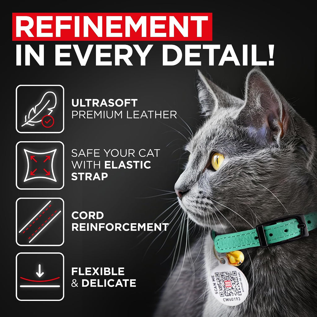Close up of the safety elastic breakaway alternative strap on premium cat collar