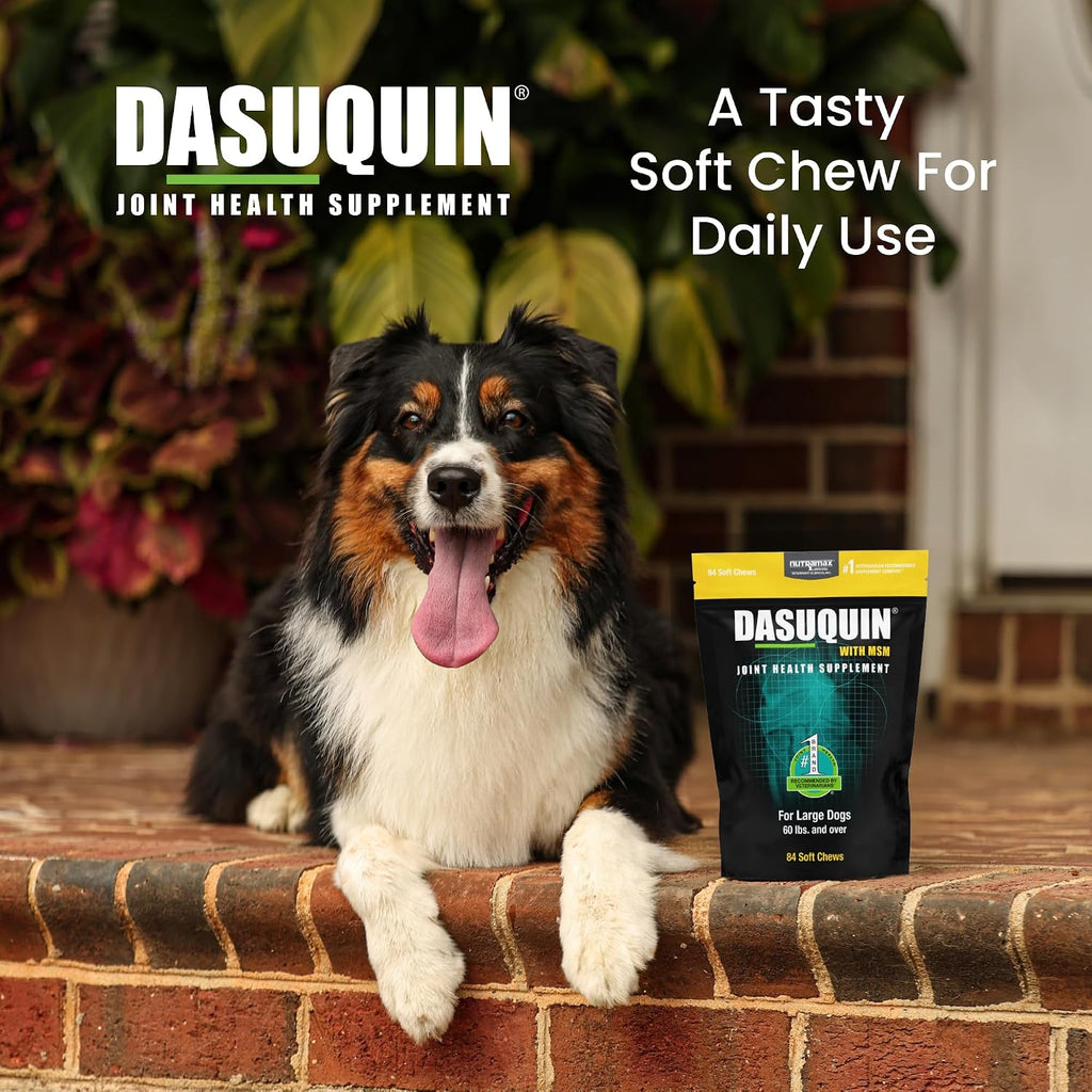 Nutramax Dasuquin soft chews texture and appearance showcase