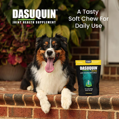 Nutramax Dasuquin with MSM supplement facts and ingredient label close up