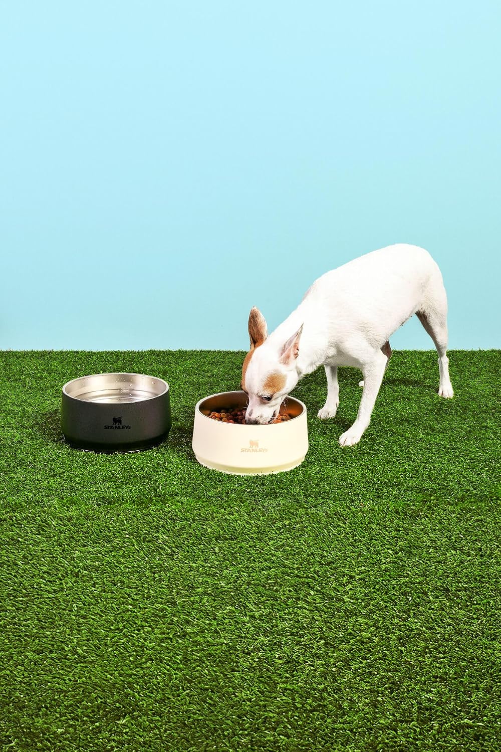 Authentic imported American pet gear for modern Indian pet parents.