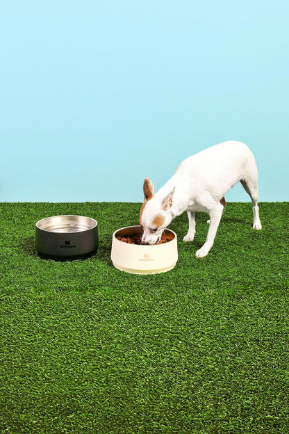 Authentic imported American pet gear for modern Indian pet parents.