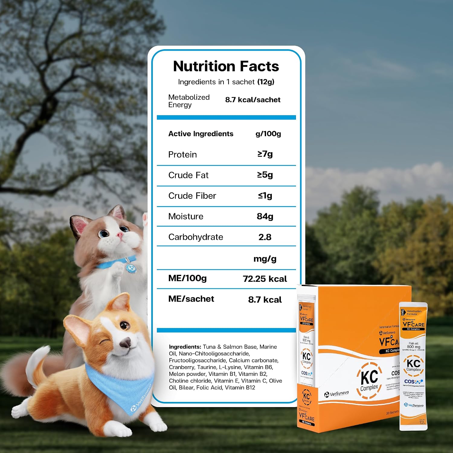 KC Complex Kidney Support Supplement for Cats & Dogs - Omega 3 for Dogs, Omega 3 for Cats - Fish Oil, SOD, Nano-Chitooligosaccharide - Vet Formula for Renal Health - 30 Sachets - Image 9