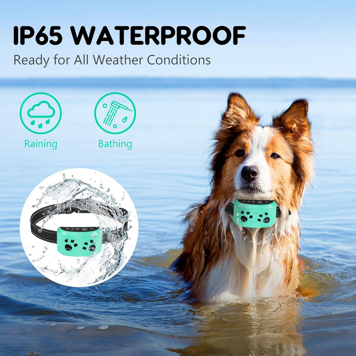 Packaging and included accessories for Svtrat dog bark collar