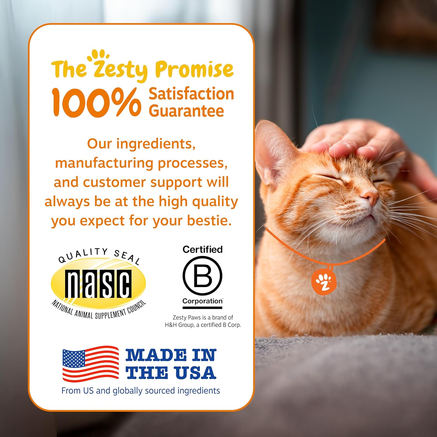 Zesty Paws cat skin and coat supplement with zinc and biotin