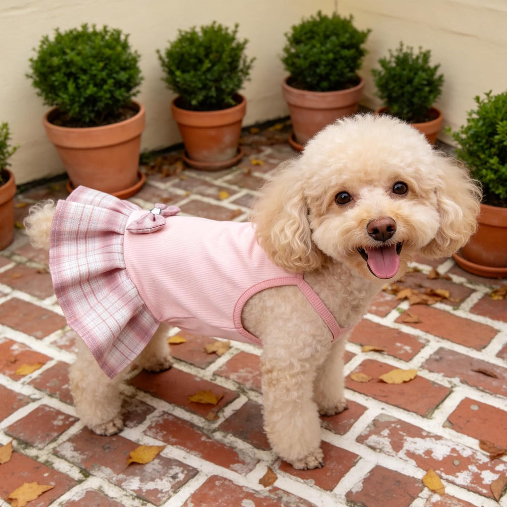 YUDODO authentic small size pet clothes for birthday parties