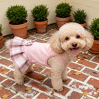 YUDODO authentic small size pet clothes for birthday parties