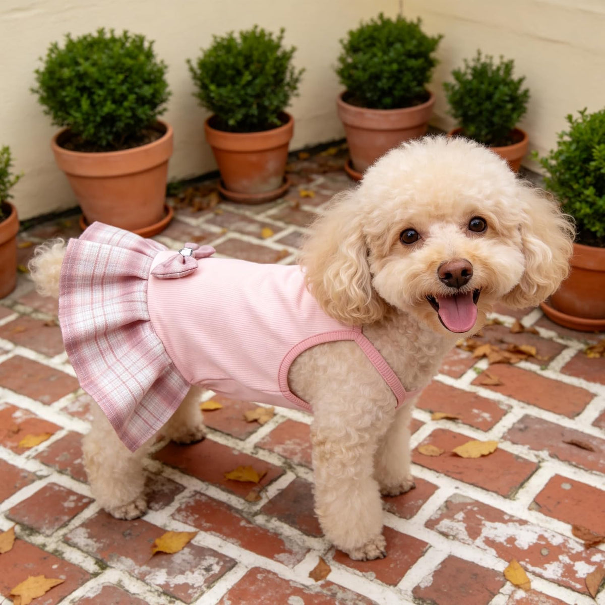 YUDODO authentic small size pet clothes for birthday parties