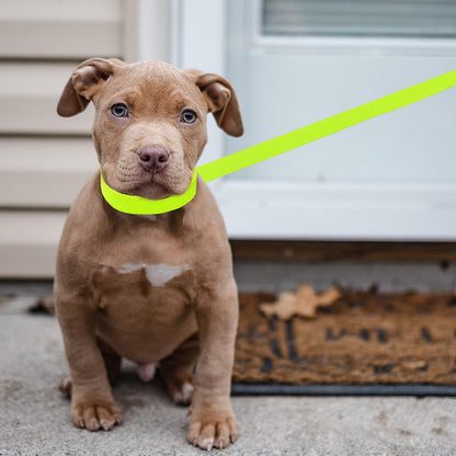 Pack of ten colorful training leads for small and large dogs